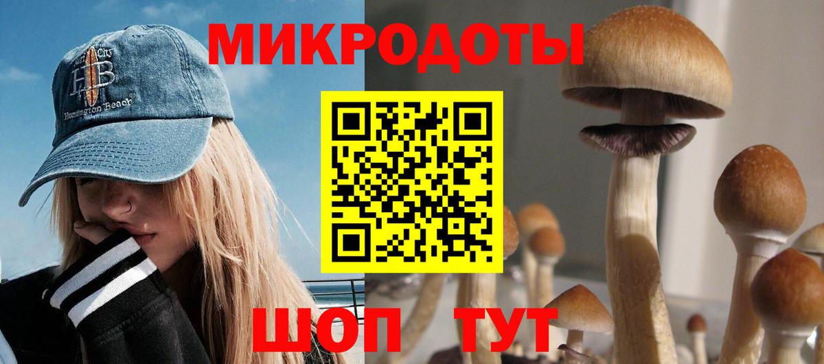Галлюциногенные грибы Psilocybine cubensis Евпатория