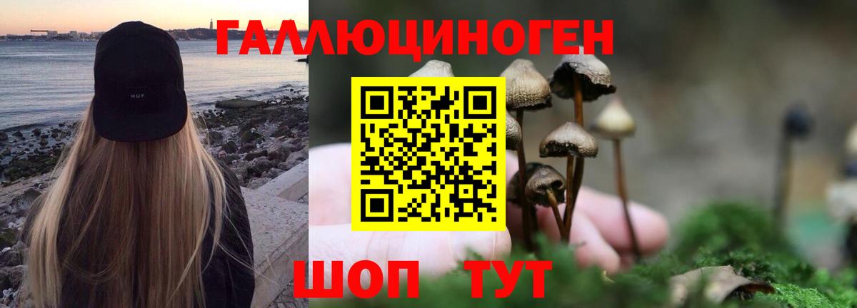 Галлюциногенные грибы Cubensis  Вход с VPN  Евпатория 